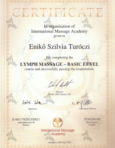 Lymph massage - basic level